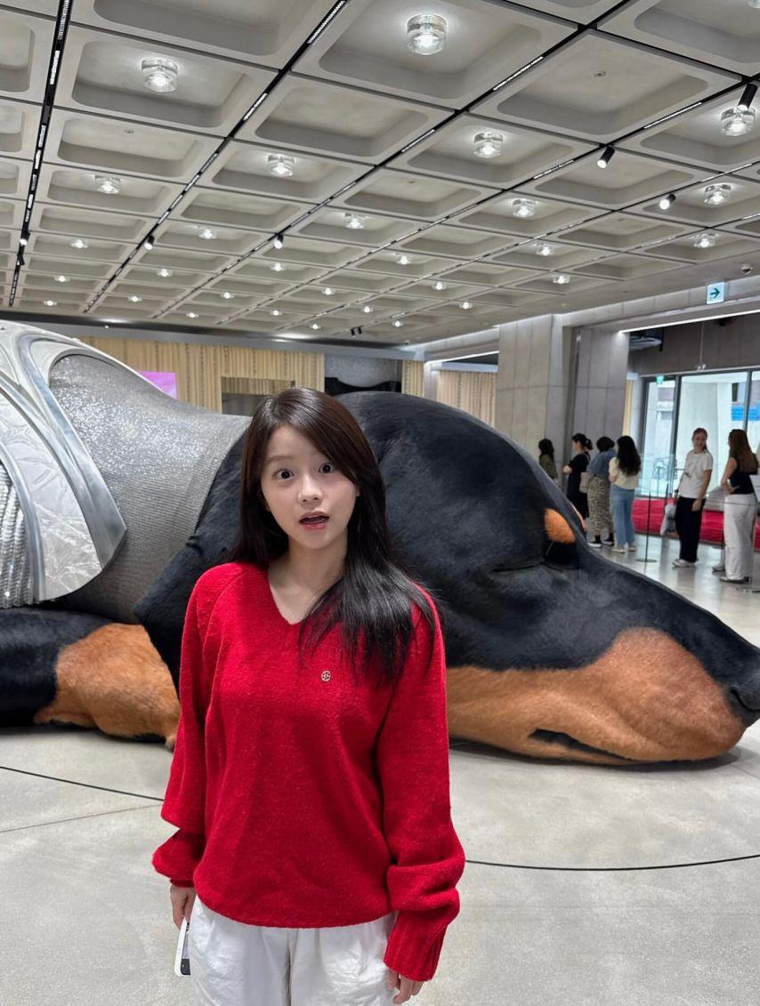 채서안2