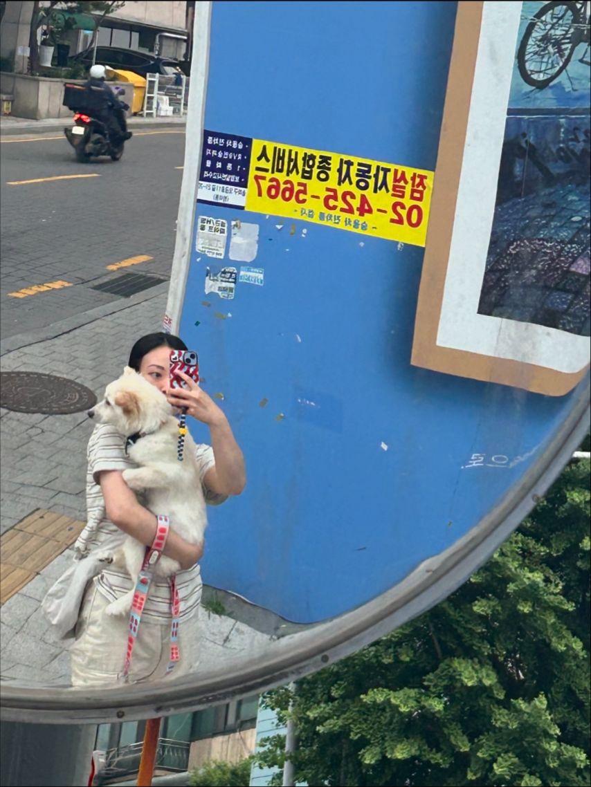 한지효3