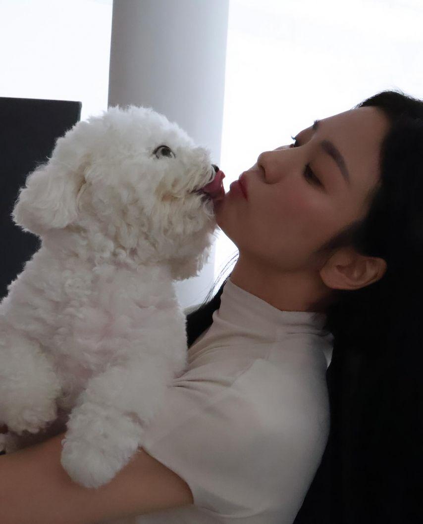 송혜교13