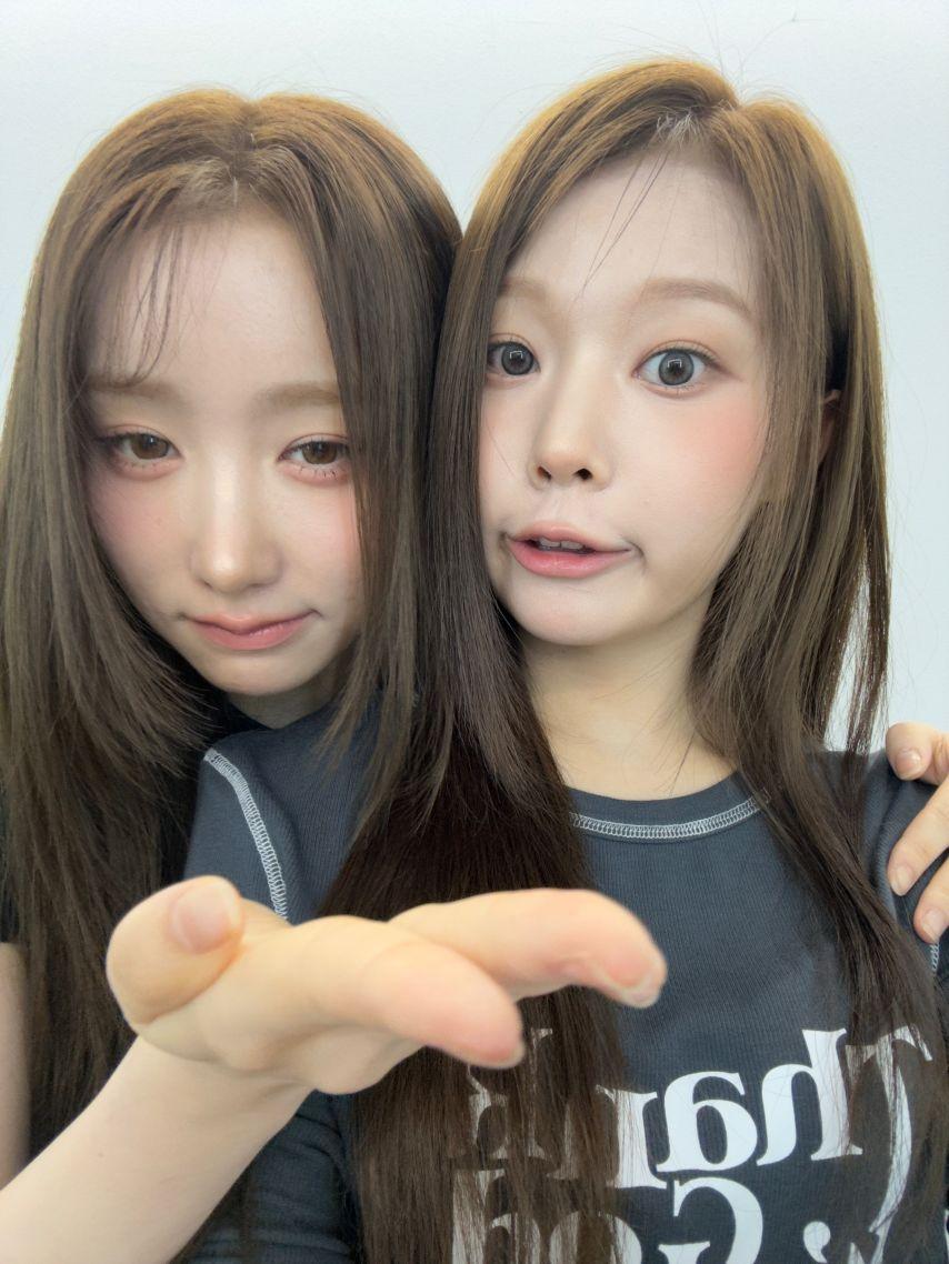 세이마이네임 메이 생일0