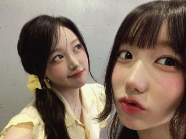 세이마이네임 메이 생일7