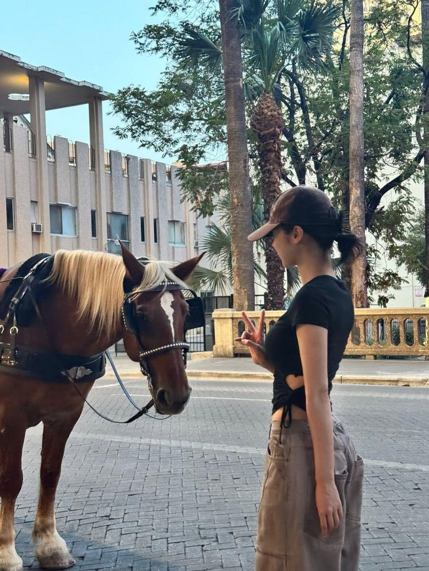 비비지 신비5