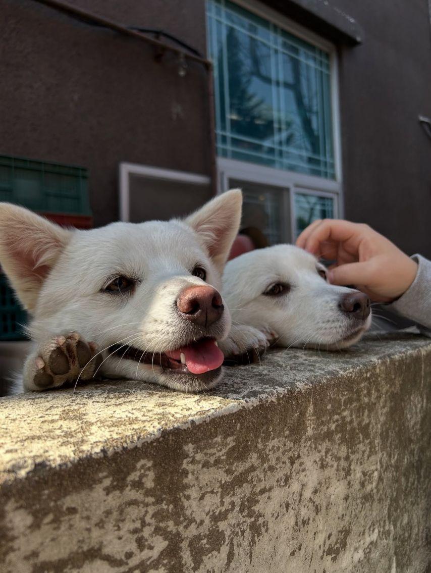 정보민 인별3