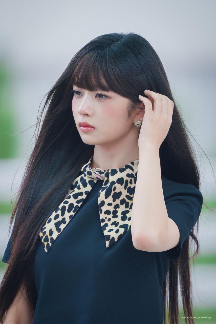 아이브 레이6