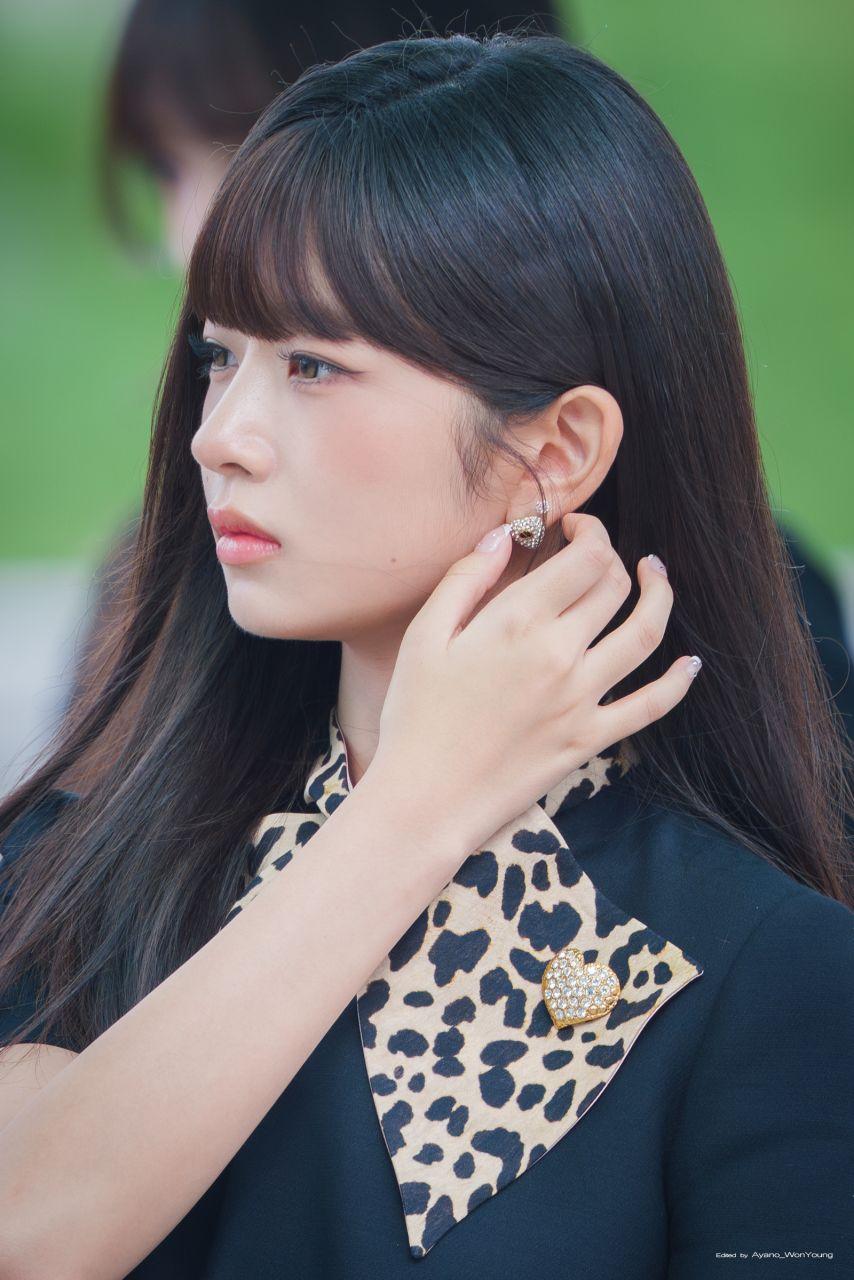 아이브 레이8