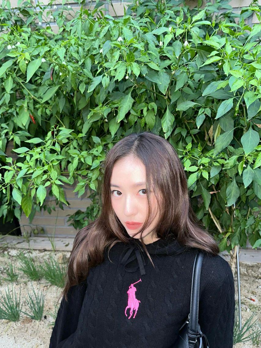 정수정 (크리스탈) SNS7