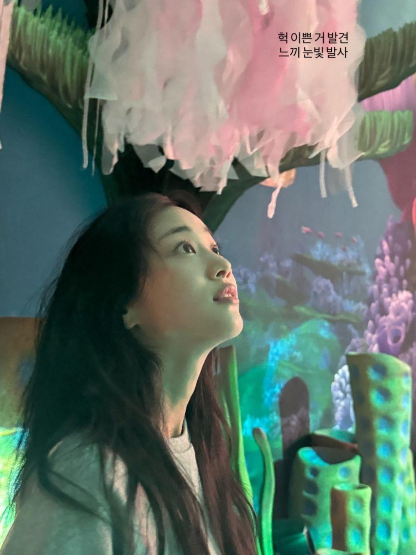 홍화연8