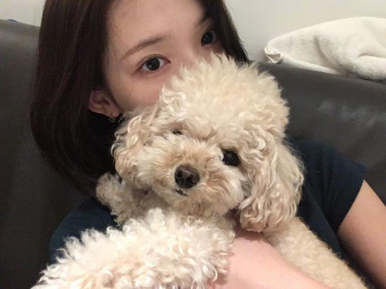 하츠투하츠26