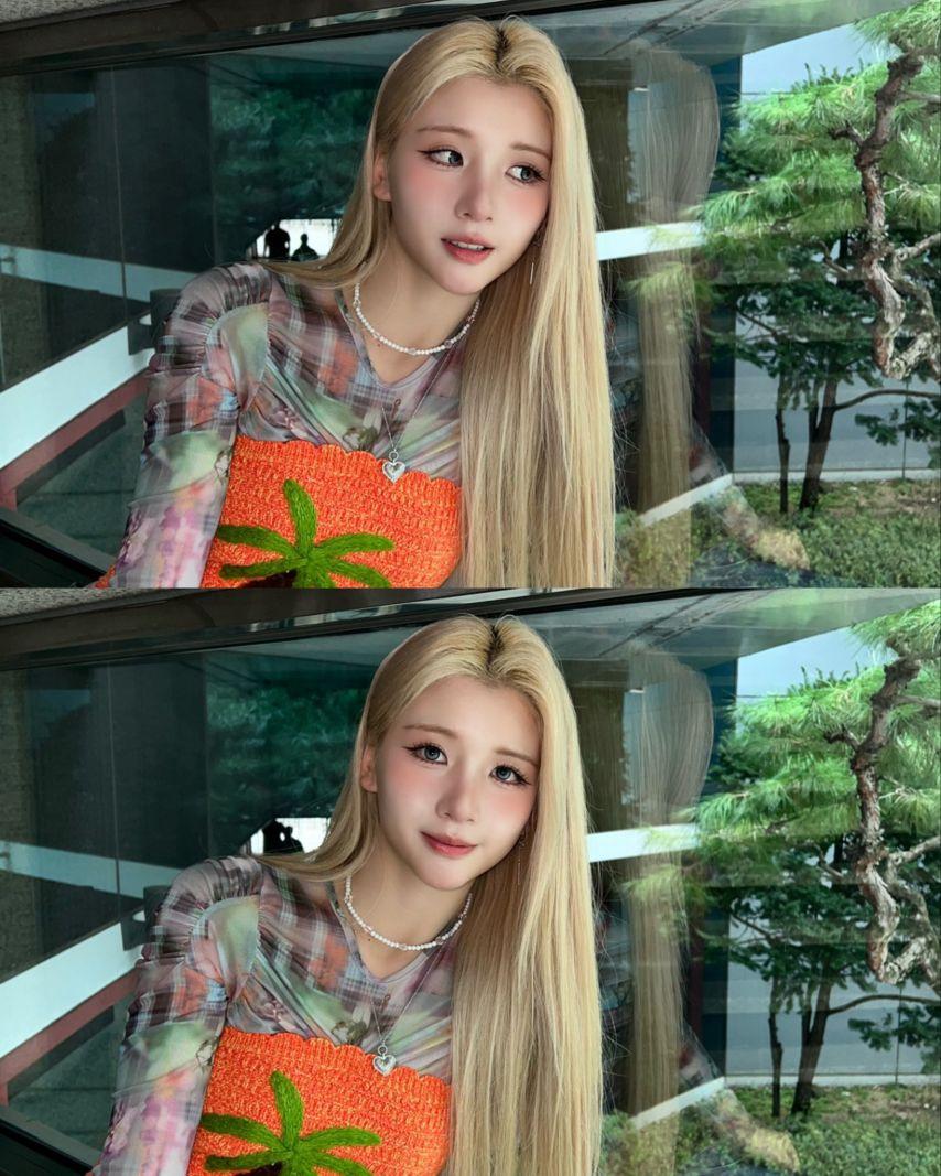 힛지스12