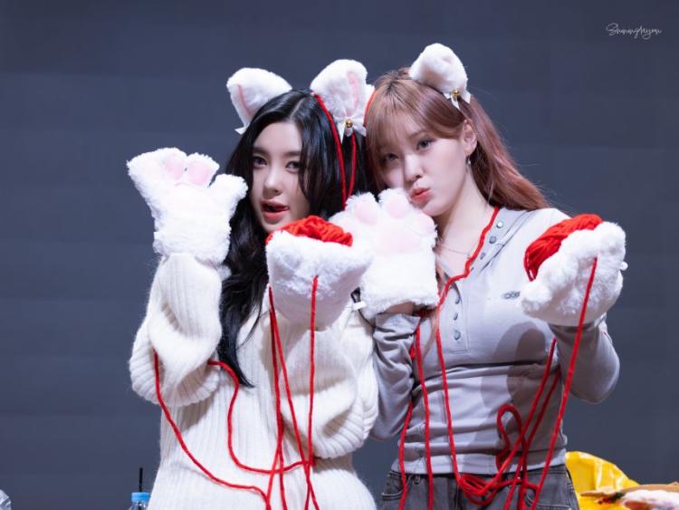 케플러 김다연 김채현0