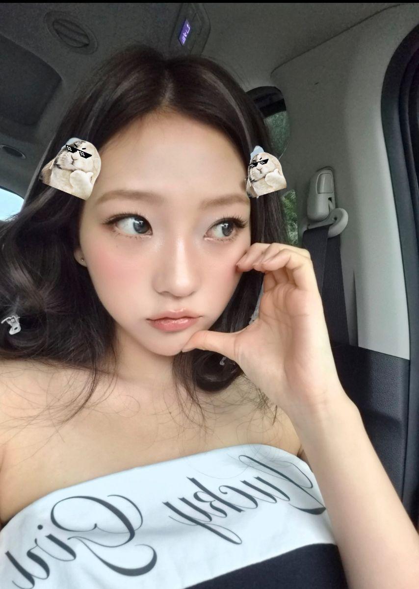 하츠투하츠 스텔라1