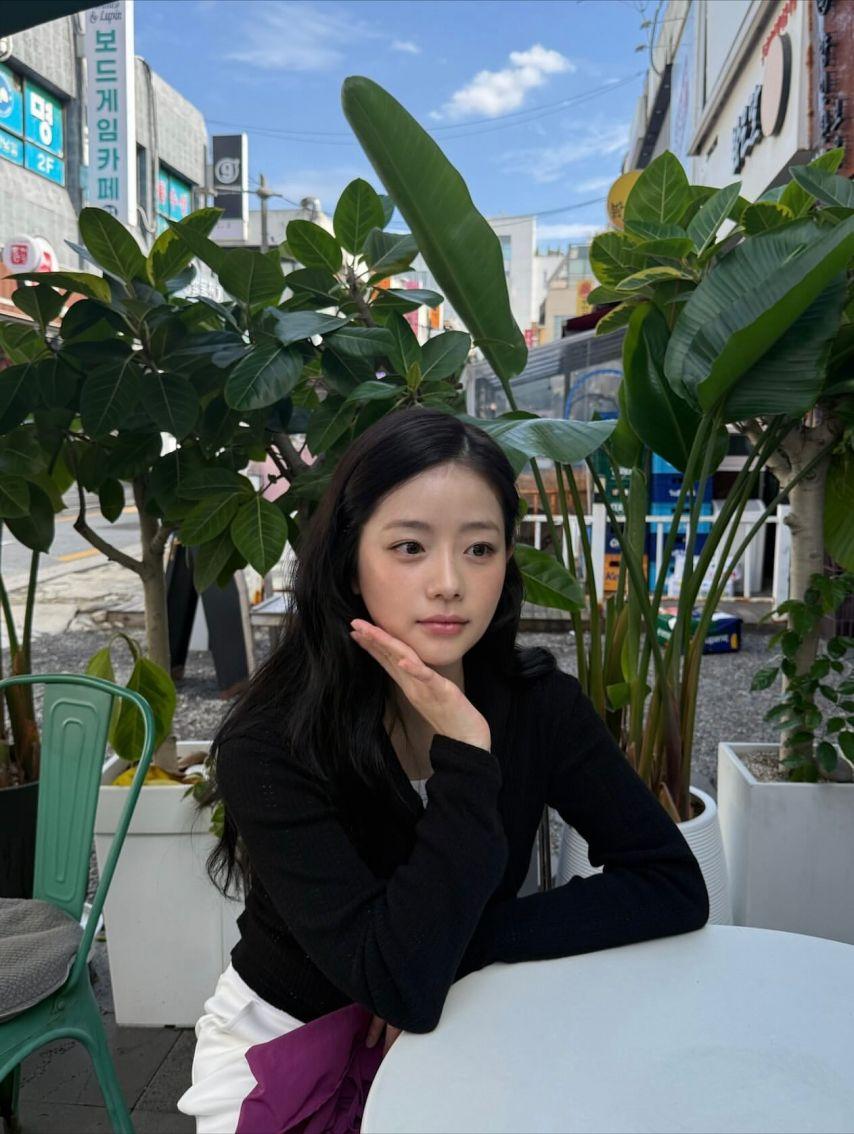 채서안2