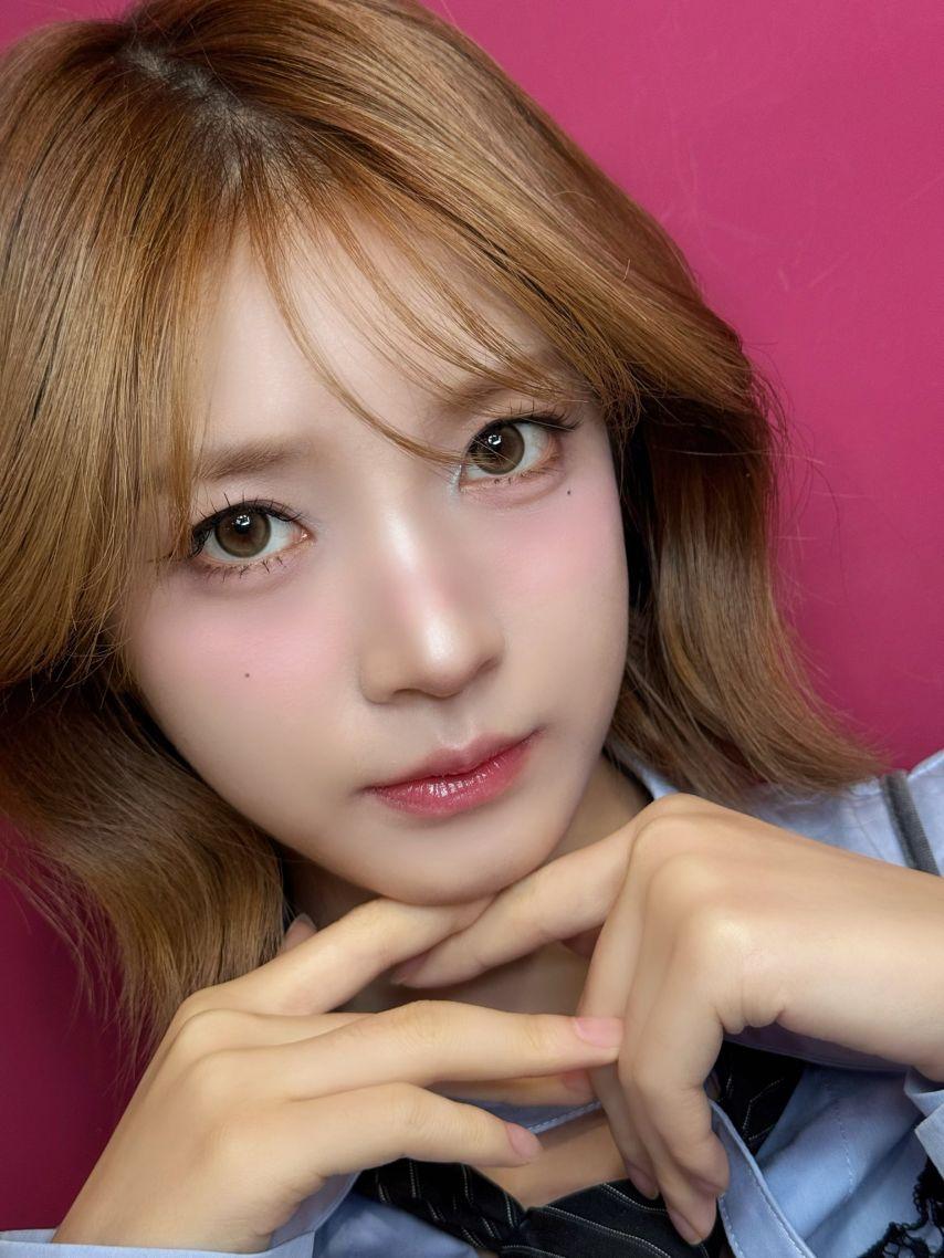 힛지스1