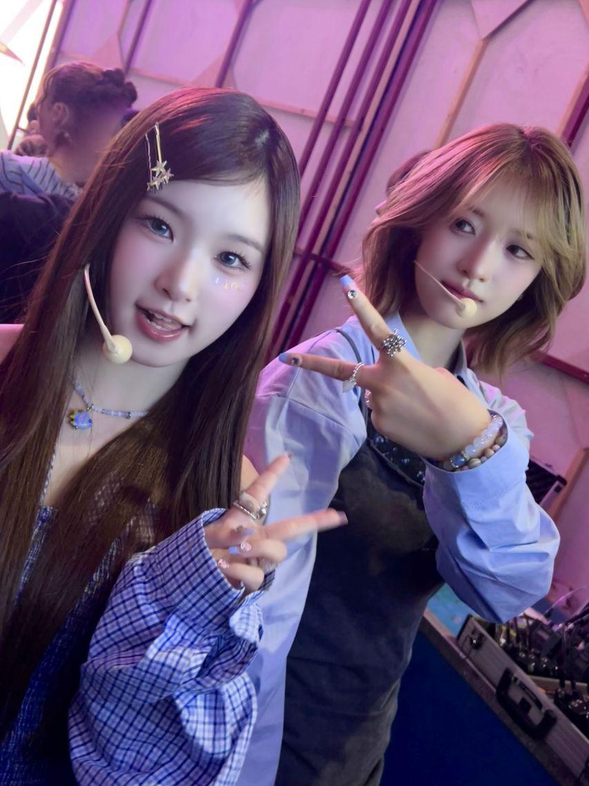 힛지스7