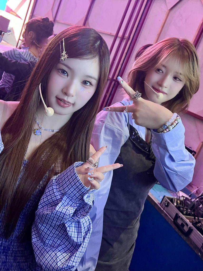 힛지스8