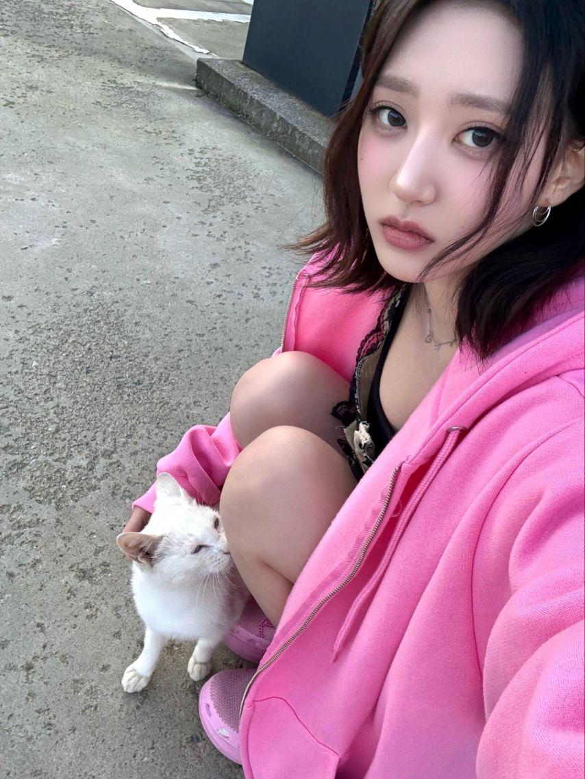 하이키 서이, 휘서2
