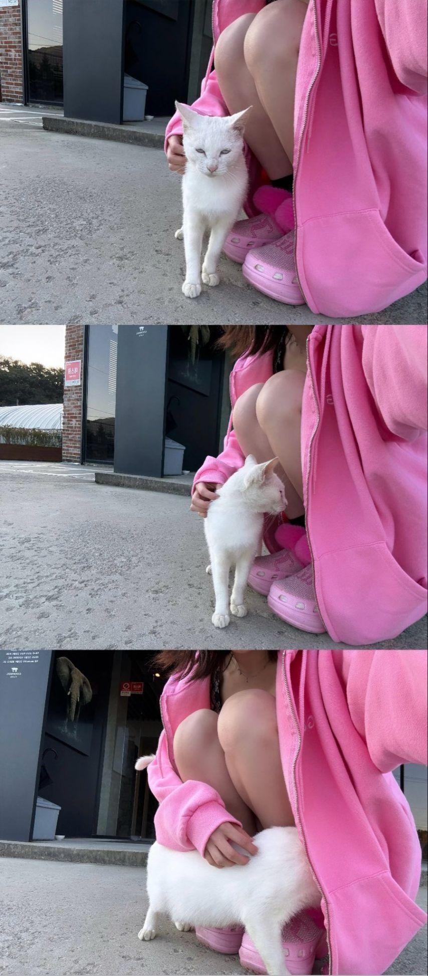하이키 서이, 휘서3