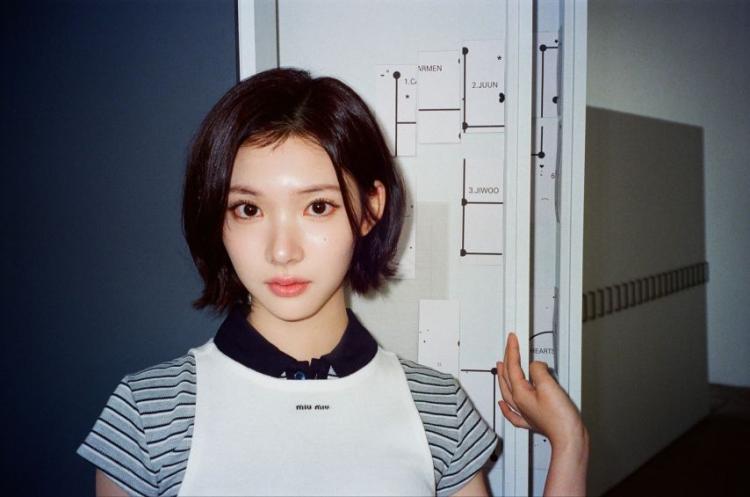 하츠투하츠7