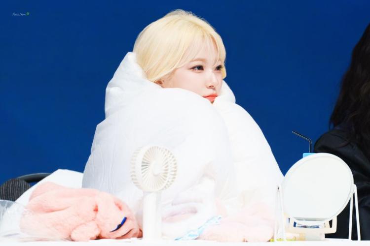 프로미스나인 백지헌6