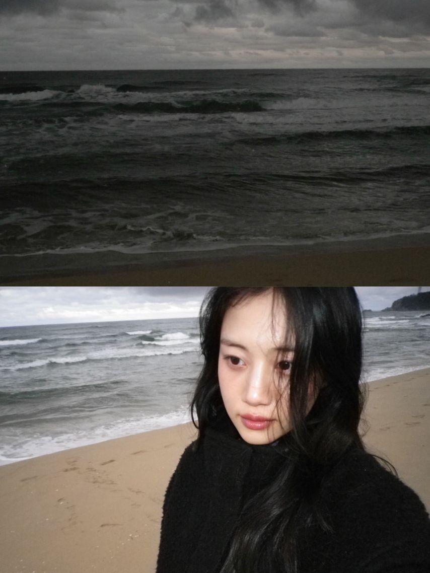 홍화연0