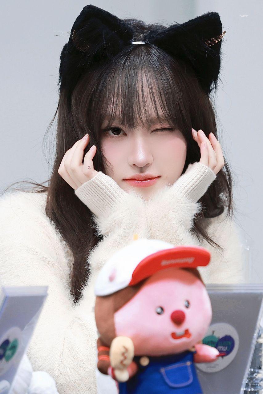 아이브 리즈0