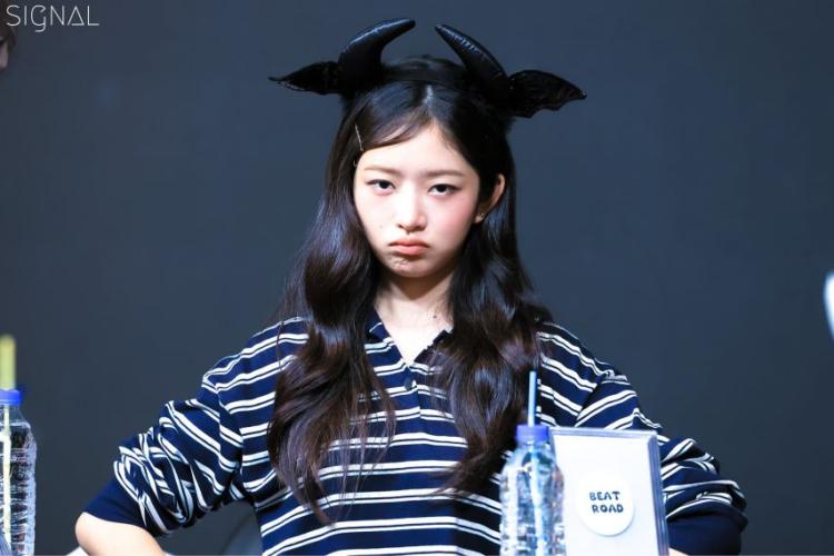 아이브 레이 2510264
