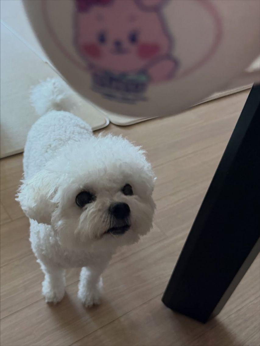 브브걸 은지 SNS11