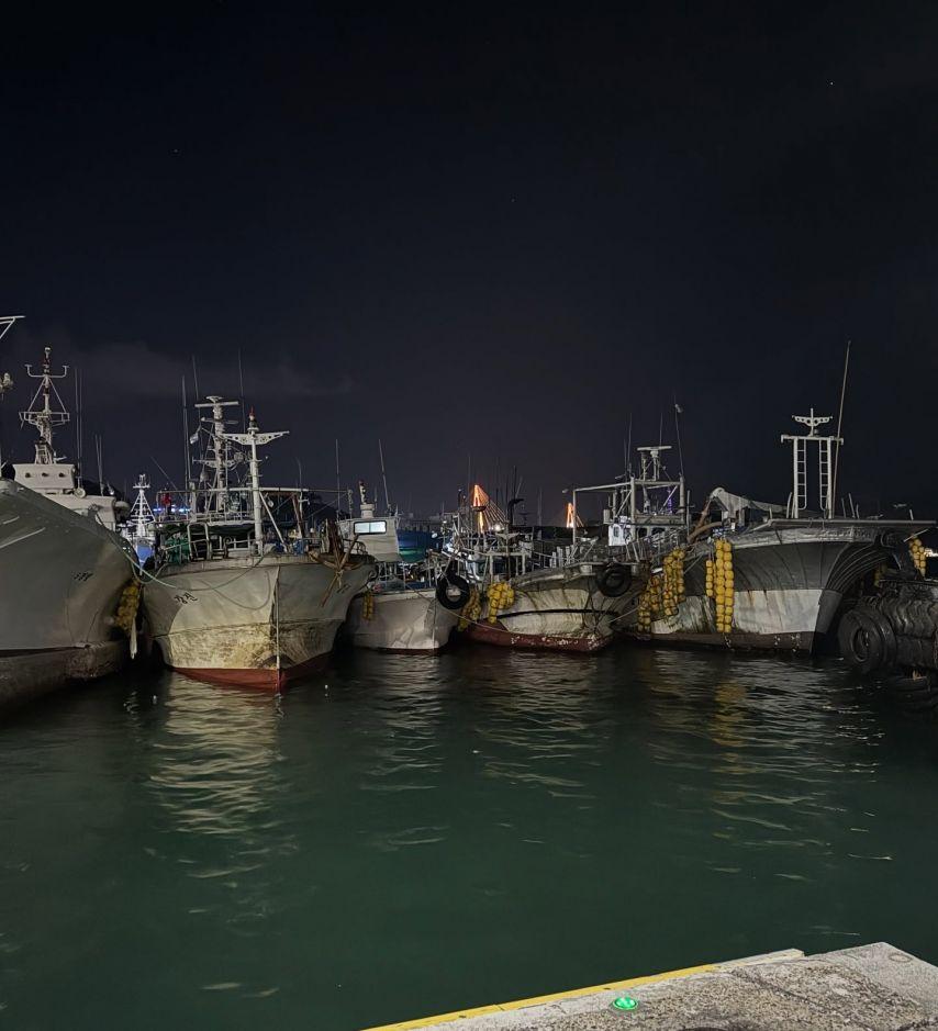 진달래 아나운서7