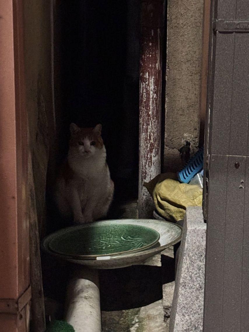 수윤 연희 소희 로켓펀치4