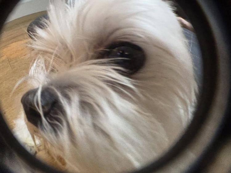 수윤 연희 소희 로켓펀치7