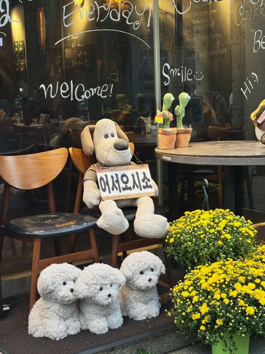 수윤 연희 소희 로켓펀치9