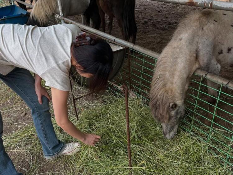 조은나래 아나운서1