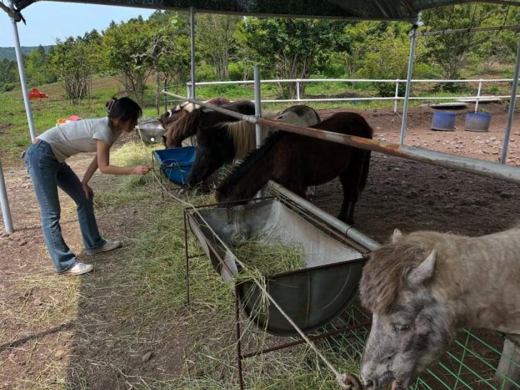 조은나래 아나운서2