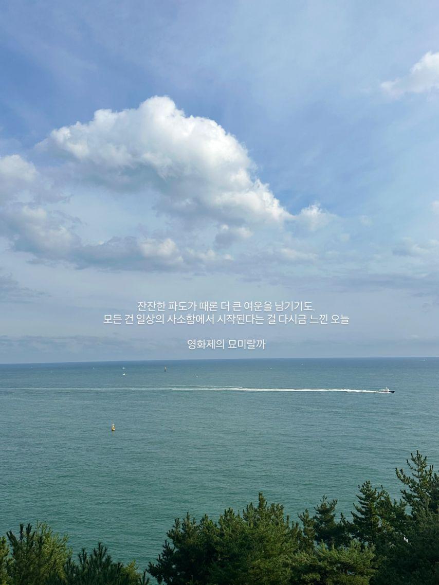 배누리 인스타13