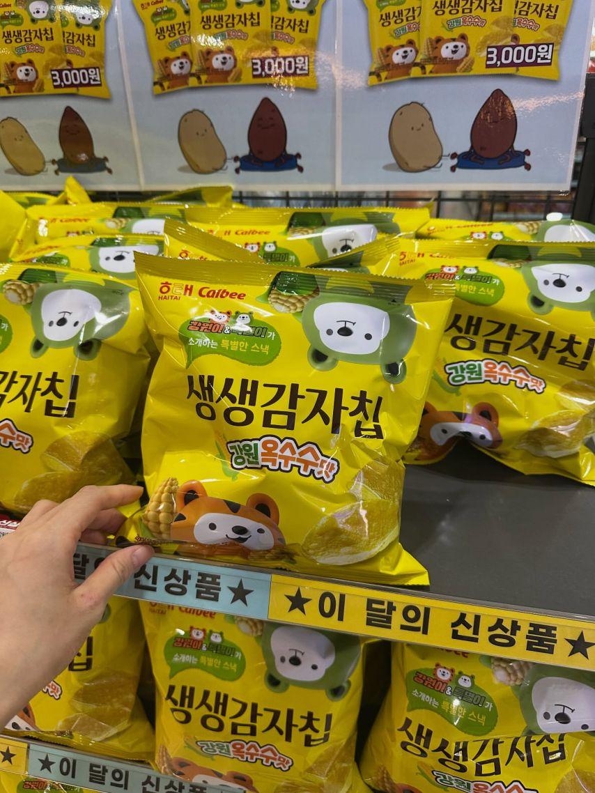 배누리 인스타6