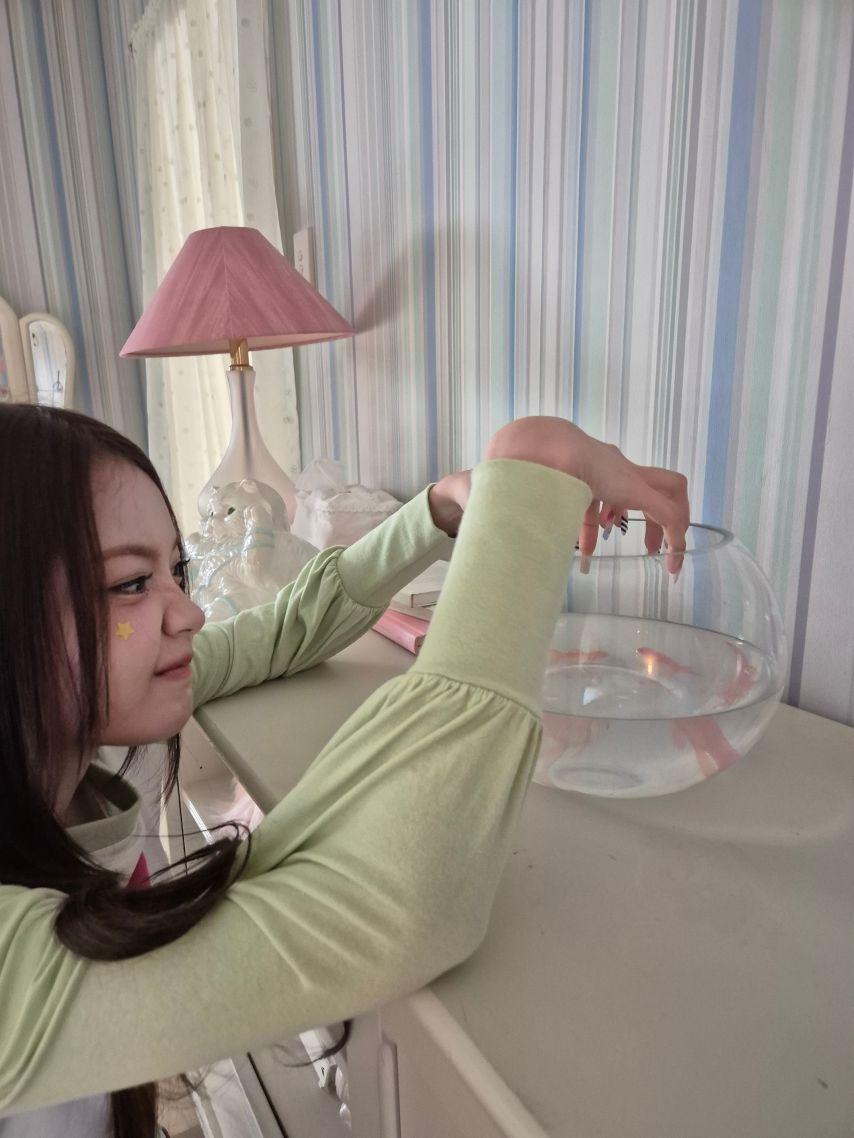 하츠투하츠 카르멘 -210