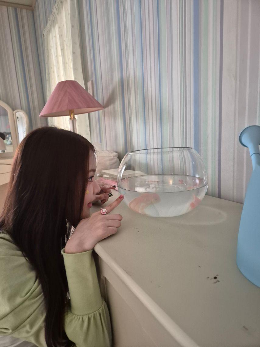 하츠투하츠 카르멘5