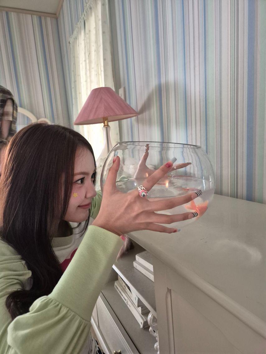 하츠투하츠 카르멘8