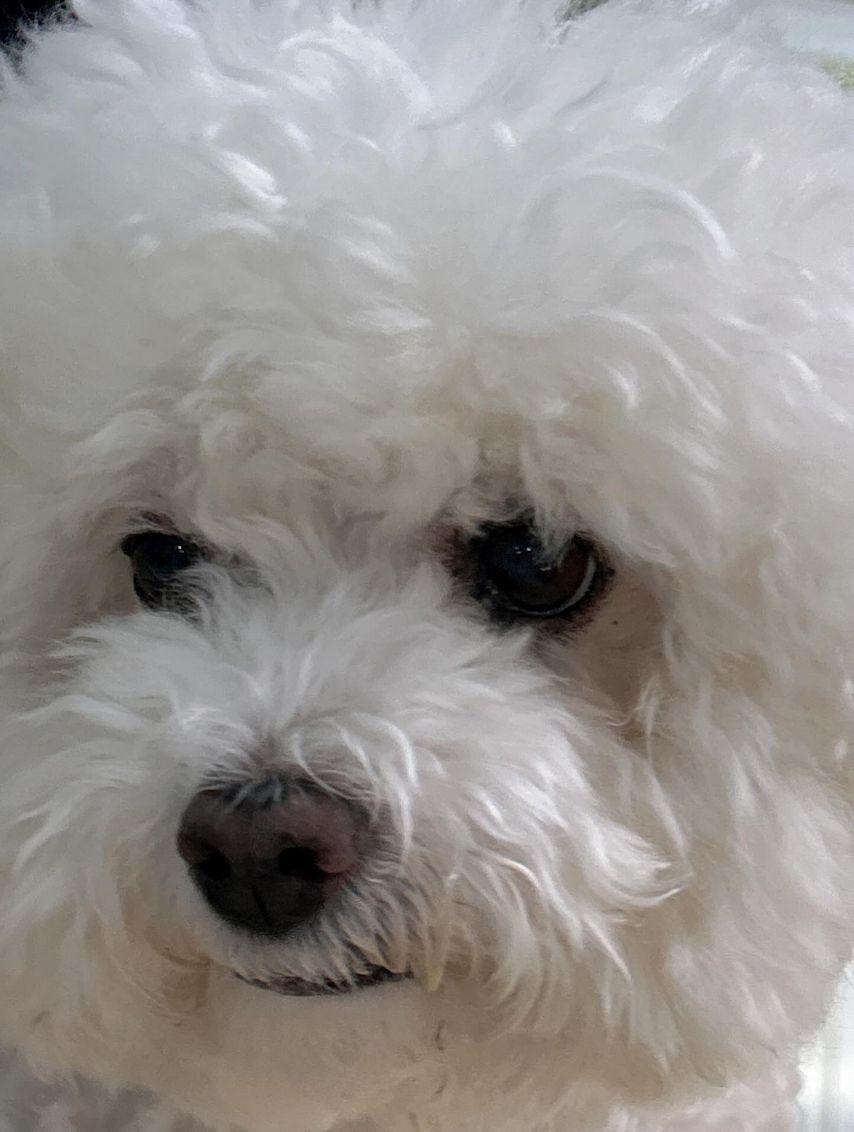 서지수/ 유지애/ 케이김지연 러블리즈 인별7