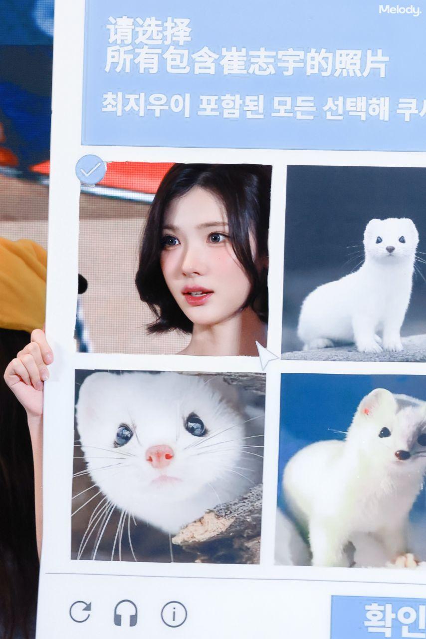 하츠투하츠 지우4