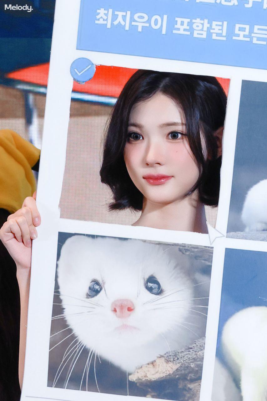 하츠투하츠 지우5