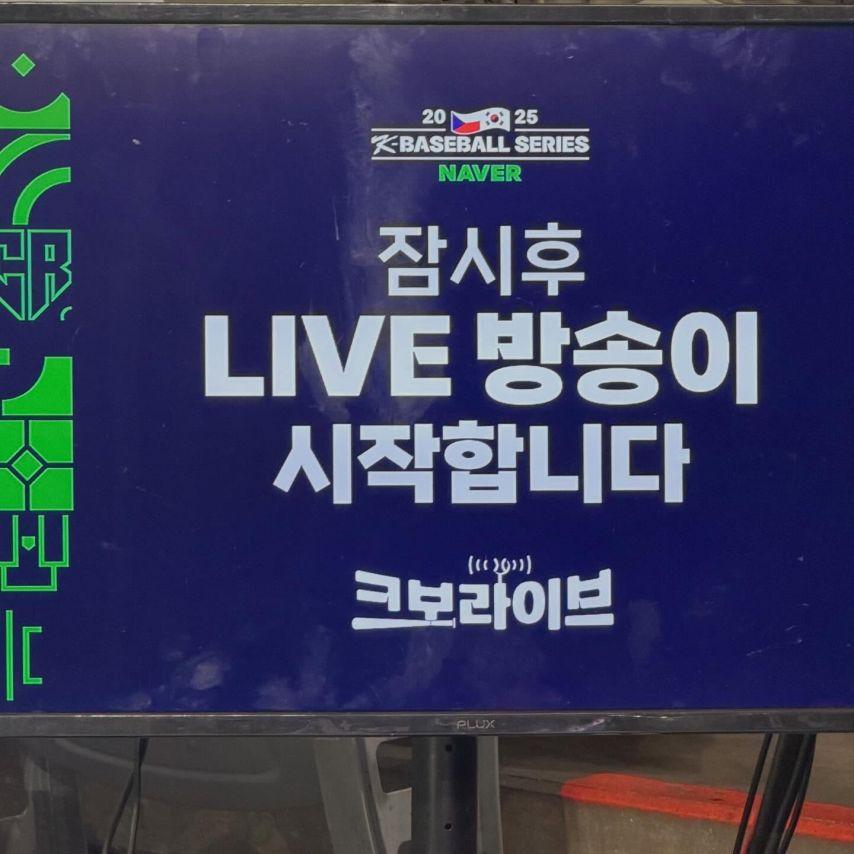 박지영 아나운서8