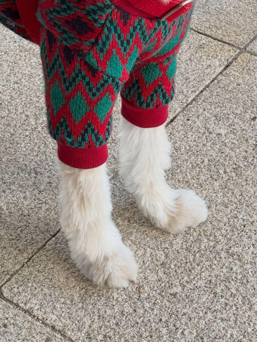 은서 손주연 우주소녀 인별4