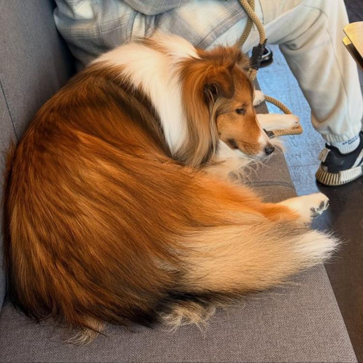 안젤리나 다닐로바11