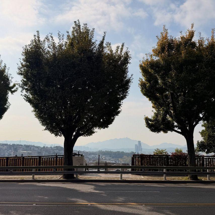 안젤리나 다닐로바15