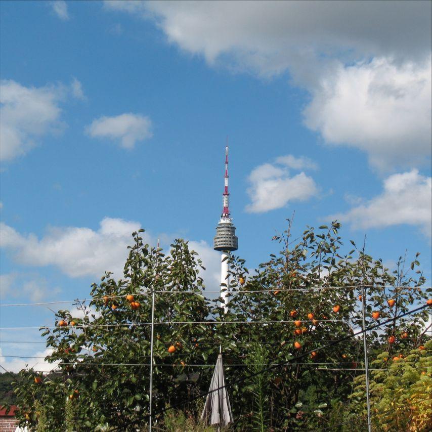 안젤리나 다닐로바2