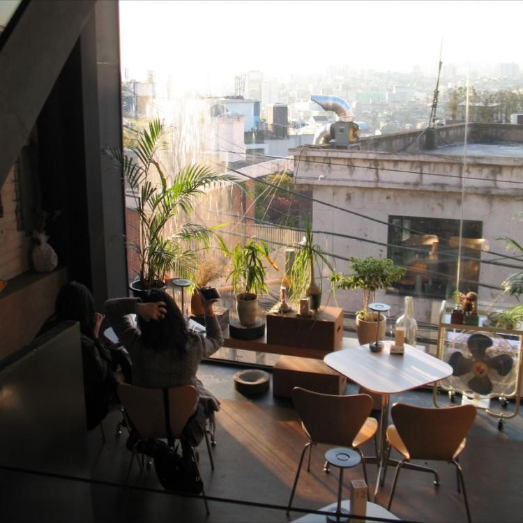 안젤리나 다닐로바4