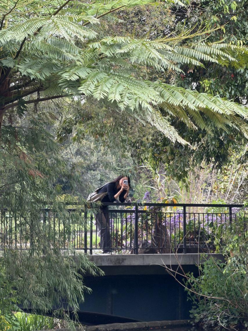 신비 VIVIZ비비지 인별0