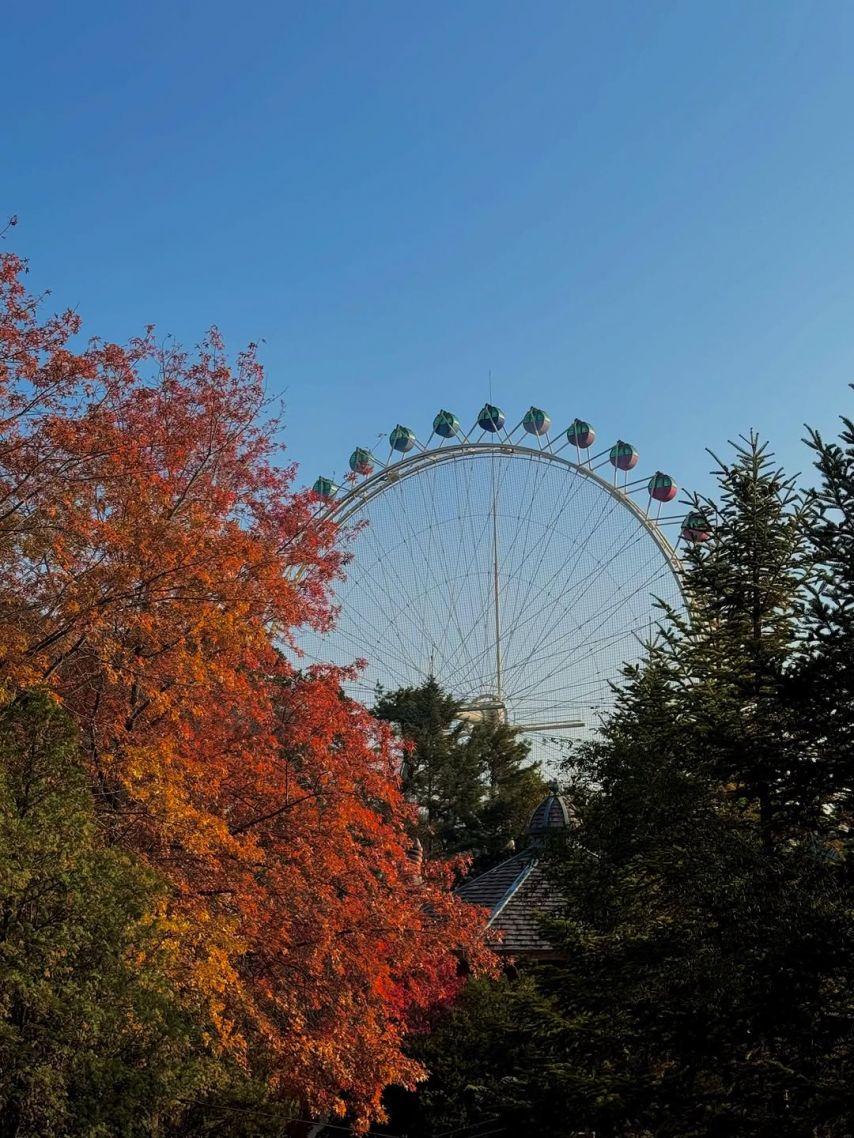 Billlie (빌리) 시윤9