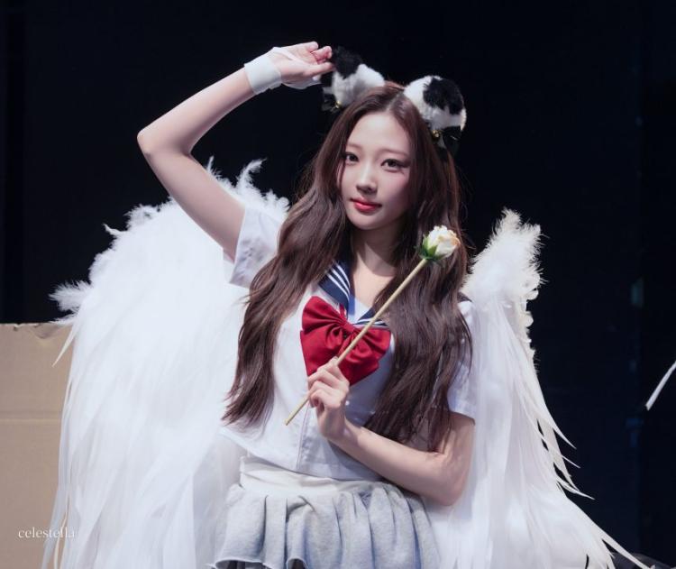 하츠투하츠 스텔라4